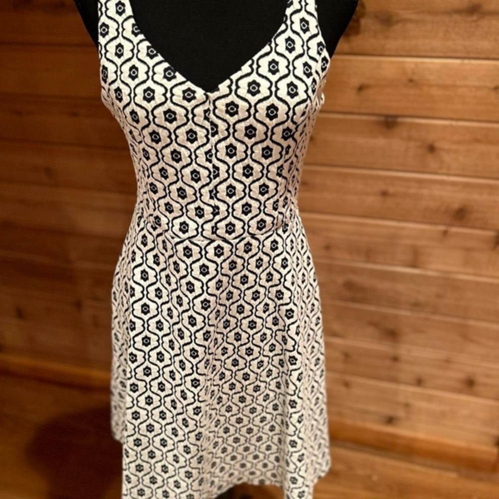 Gorgeous NWT Altrd State knit dress!